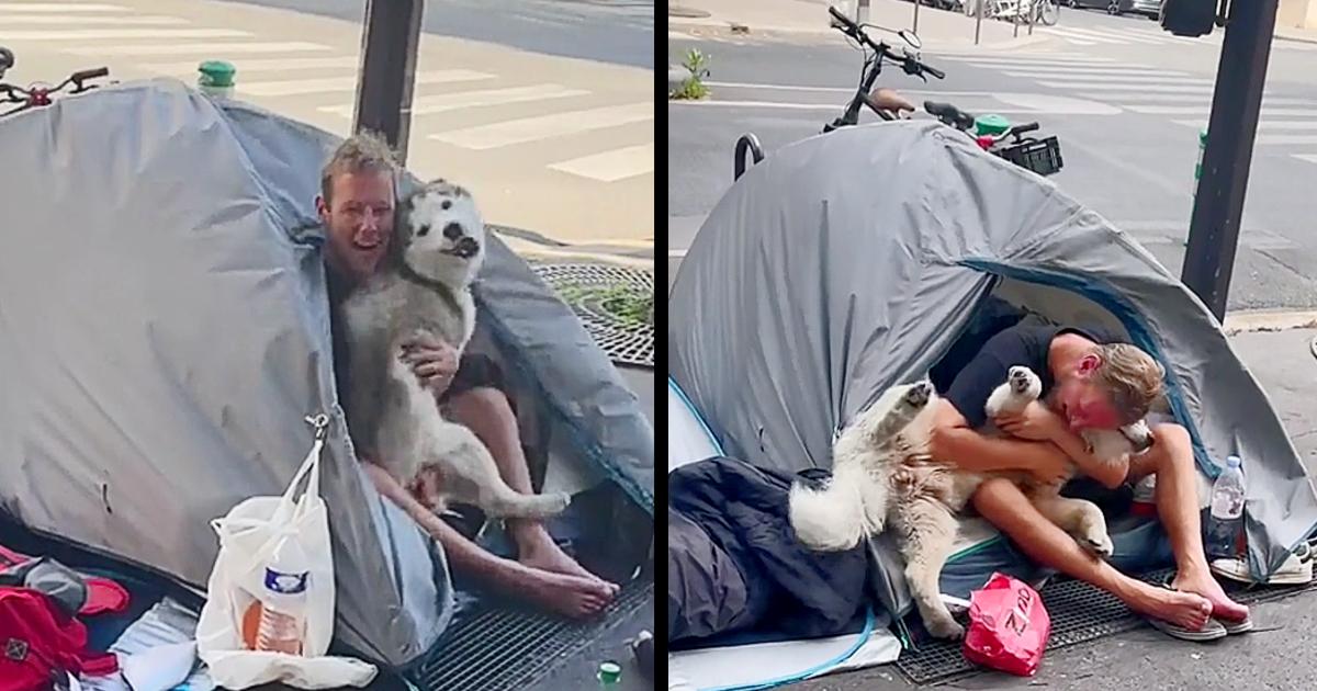 Dog Forms The Sweetest Friendship With Man Experiencing Homelessness